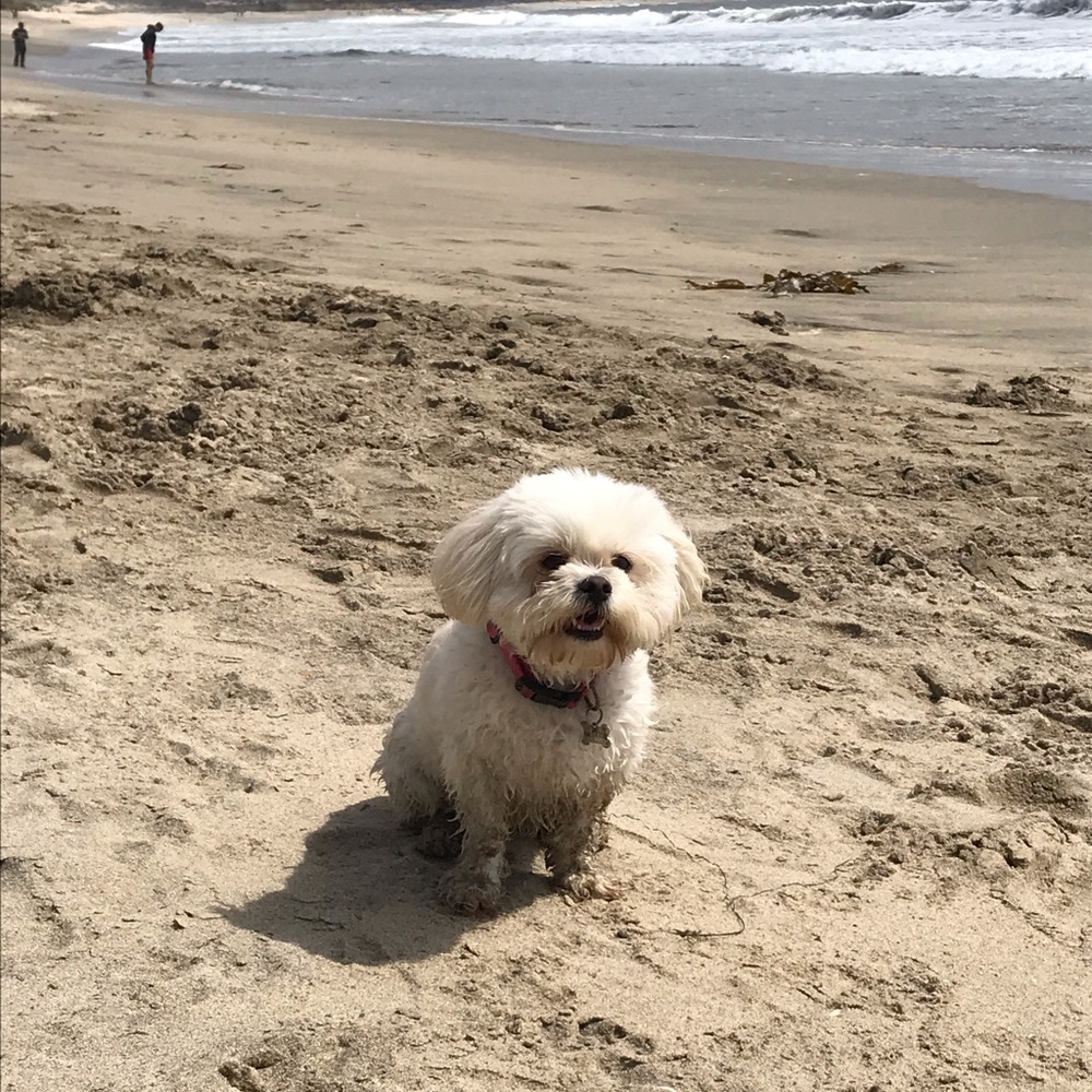 Meet your Posher, Mai leigh